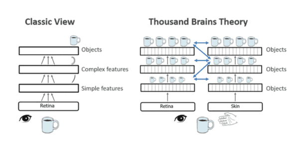 Figure 1. Thousand Brains Theory of Intelligece