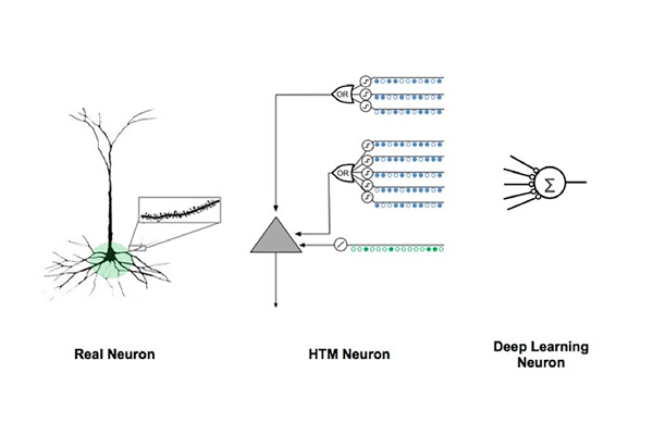 Real, HTM, and Deep Learning neurons