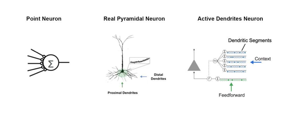 Blog-Dendrites-1024x397.jpg